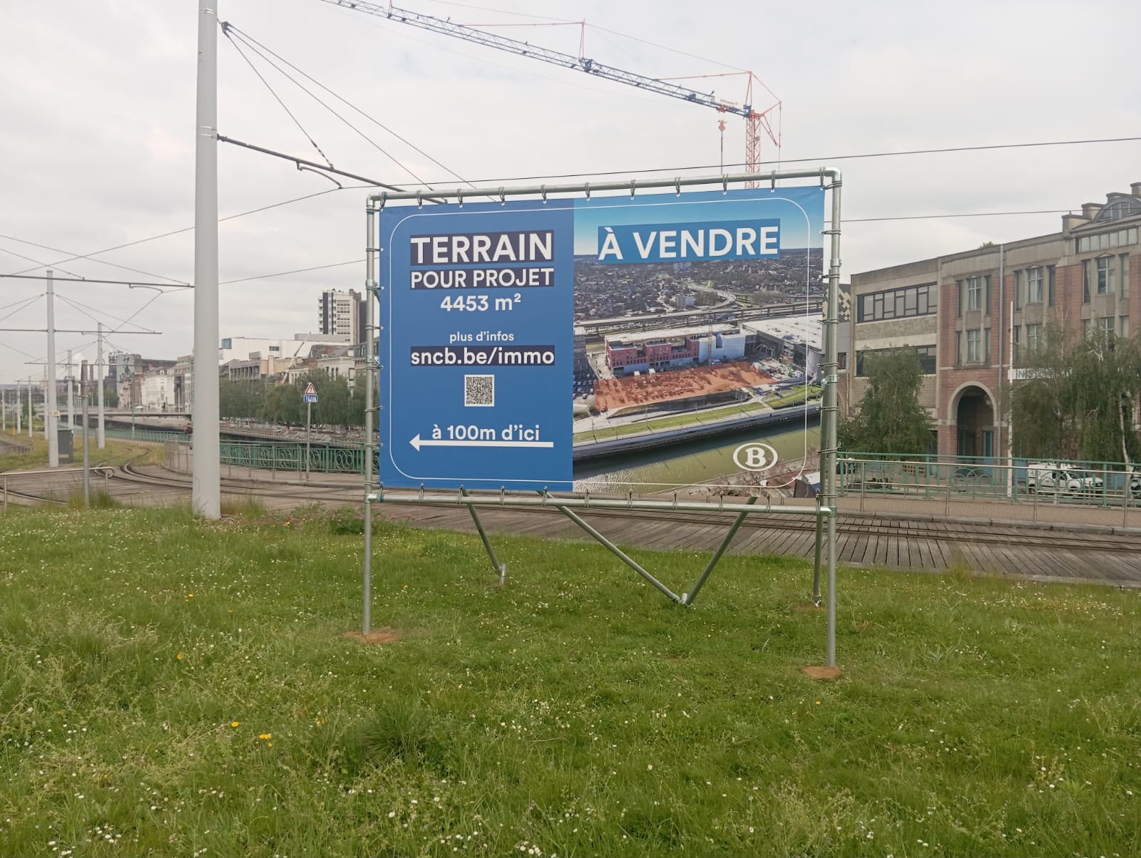 Spandoek - Image 4